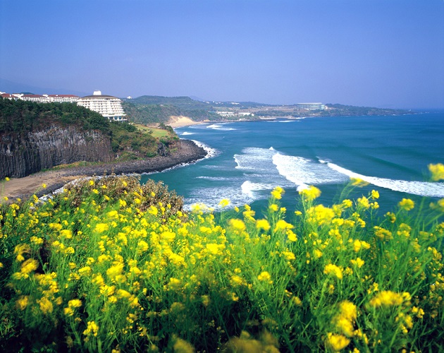 Du lịch Jeju, hòn đảo xinh đẹp của Hàn Quốc