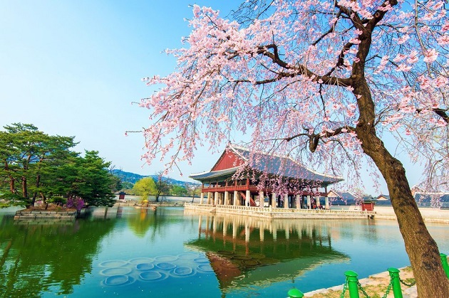 Du lịch Hàn Quốc và những trải nghiệm đáng nhớ